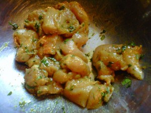 Coconut Milk Curry Chicken - GFCFSF-raw