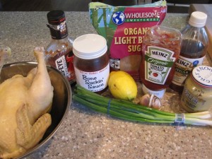 Pulled-BBQ-Chicken-GFCFSF-sauce