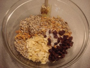 Almond Breakfast Bars GFCFSF:SCD-prep