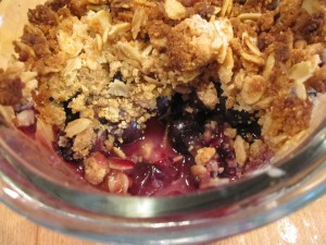 Blueberry Crumbles - GFCFSF