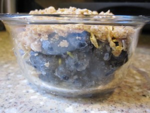 Blueberry Crumbles - GFCFSF-prep