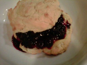 Blueberry and Lemon Curd Shortcakes - GFCFSF
