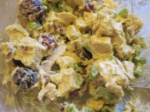 Curried Chicken Salad - GFCFSF-2