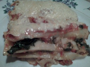 GFCFSF Yummylicious Lasagna