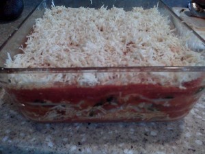 GFCFSF Yummylicious Lasagna-prep