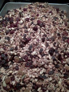 Healthy-Granola-GFCFSF