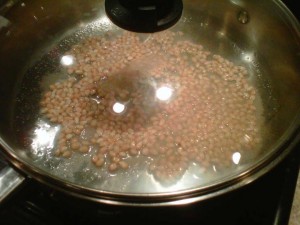 Kettle-Corn-GFCFSF-prep