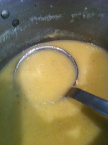 Lisas-Cream-of-Chicken-Soup-GFCFSF