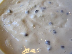Mint-Chocolate-Chip-Ice-Cream-GFCFSF