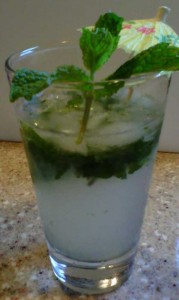 Mojitos-GFCFSF