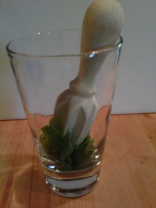Mojitos-GFCFSF-bruising