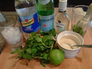 Mojitos-GFCFSF-ingred