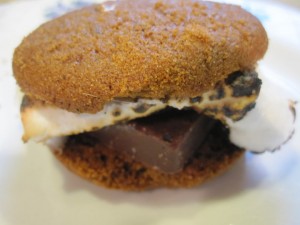 Quick-and-Easy-Smores-GFCFSF