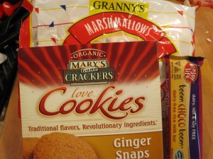 Quick-and-Easy-Smores-GFCFSF-ingred