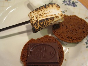 Quick-and-Easy-Smores-GFCFSF-setup