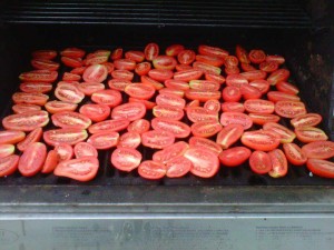 Roasted Tomato Salsa - GFCFSF-tomatoes