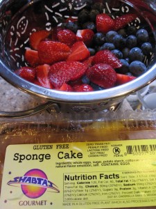 Shortcake-with-Berries-GFCFSF-ingred