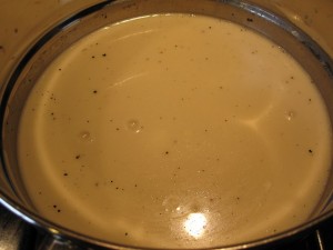 Simply Vanilla Ice Cream - GFCFSF-custard