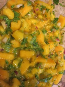 Sweet and Spicy Mango Salsa - GFCFSF