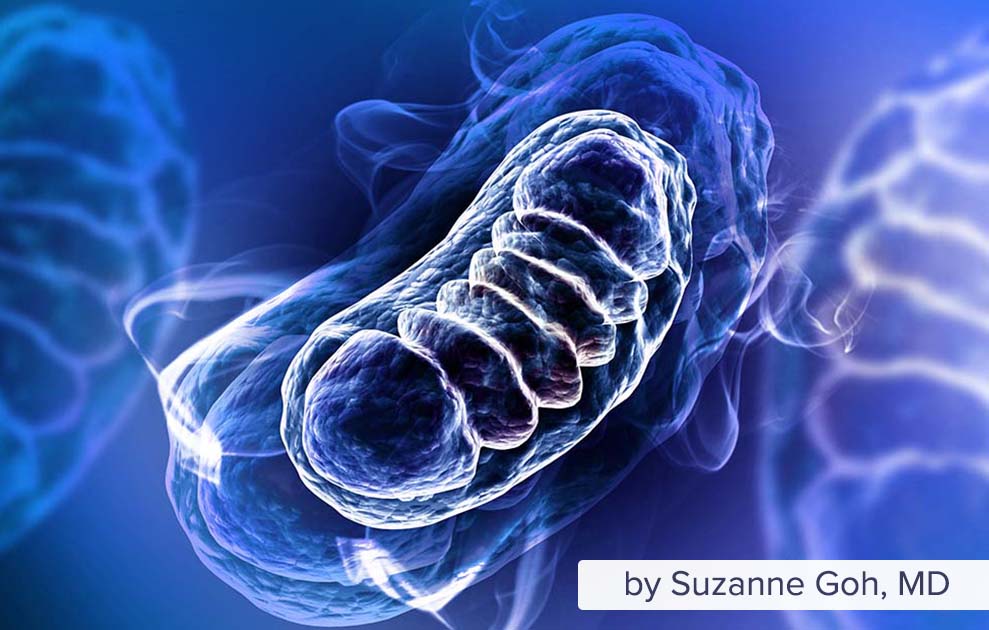 Autism and Mitochondrial Function by Dr. Suzanne Goh