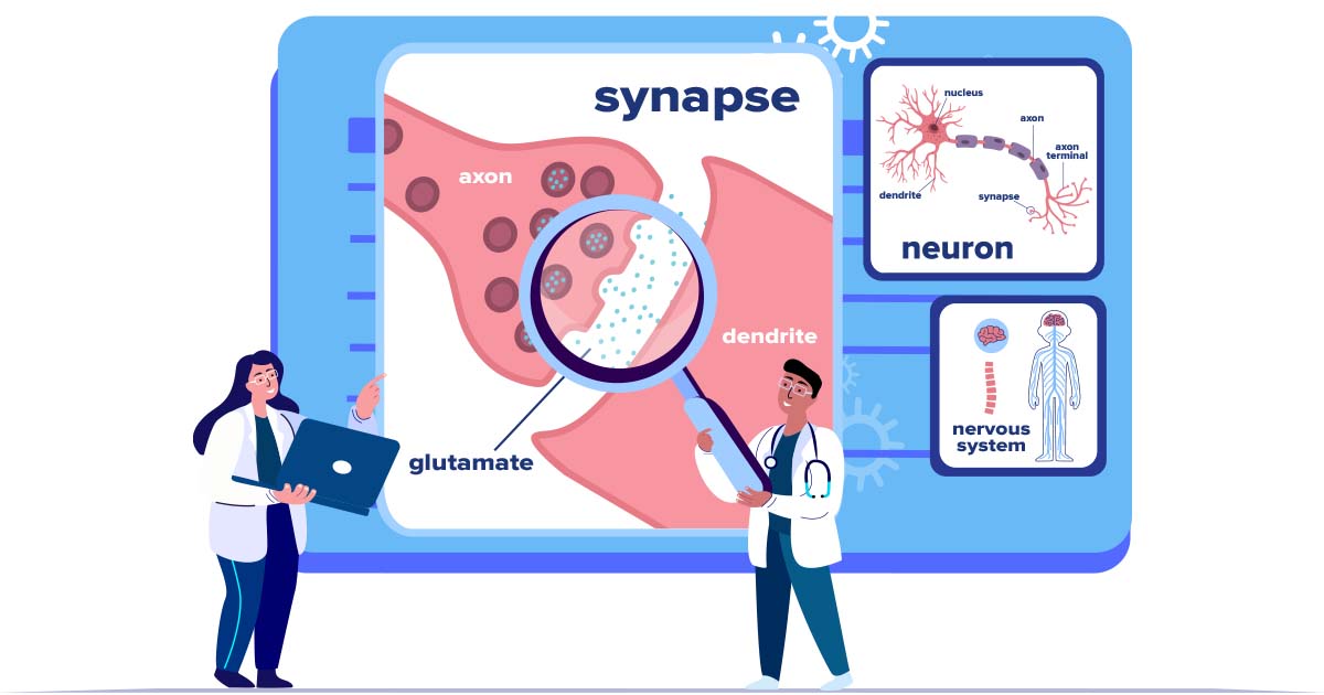 Glutamate The Autism Community in Action (TACA)
