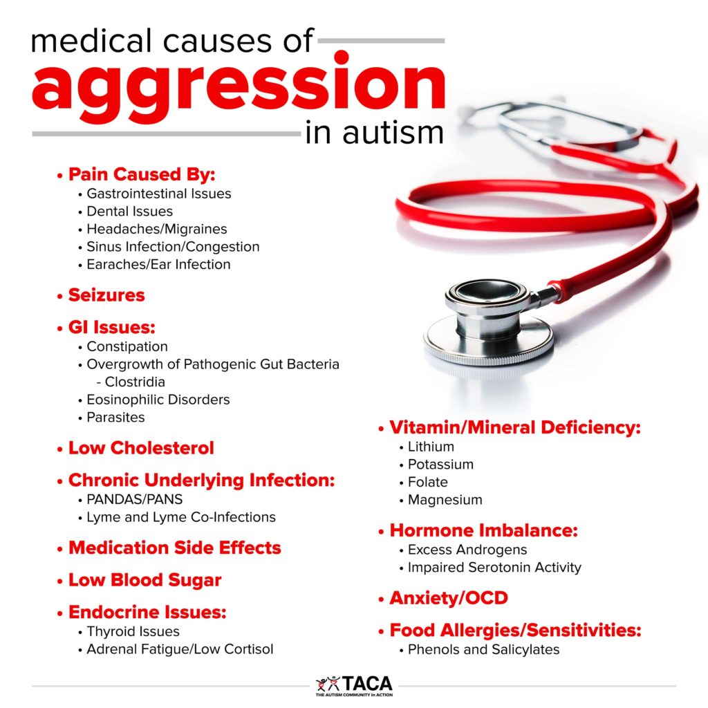 Medical causes of aggression in autism