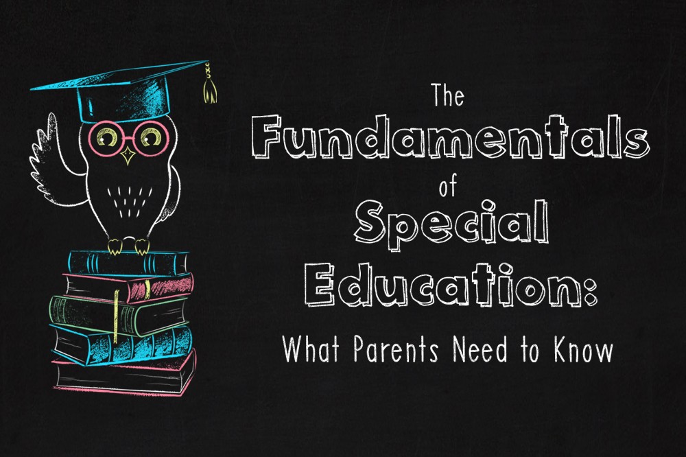 the_fundamentals_of_special_education_graphic_1