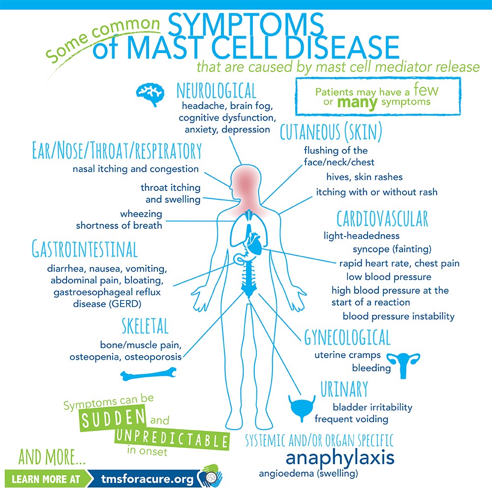 Infographic listing symptoms of Mast Cell Disease