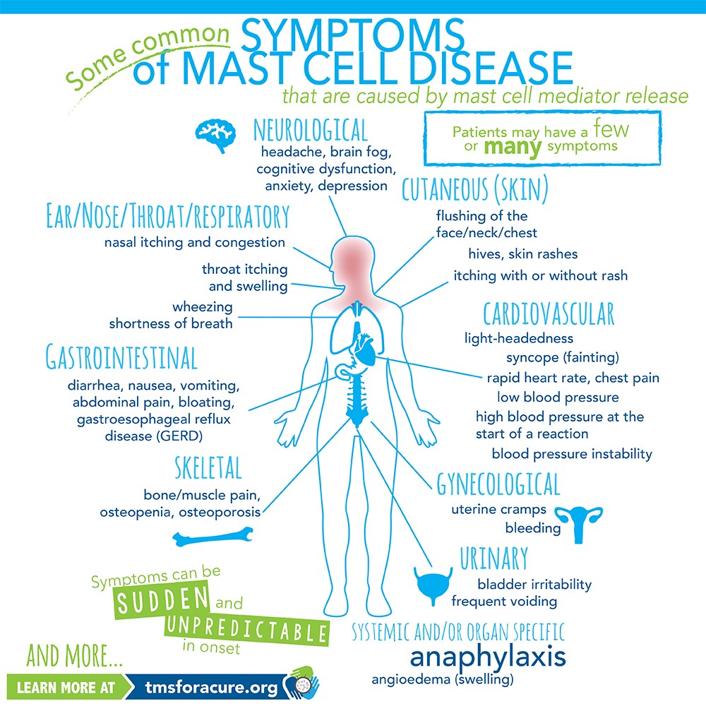 Mast Cells And Autism The Autism Community In Action