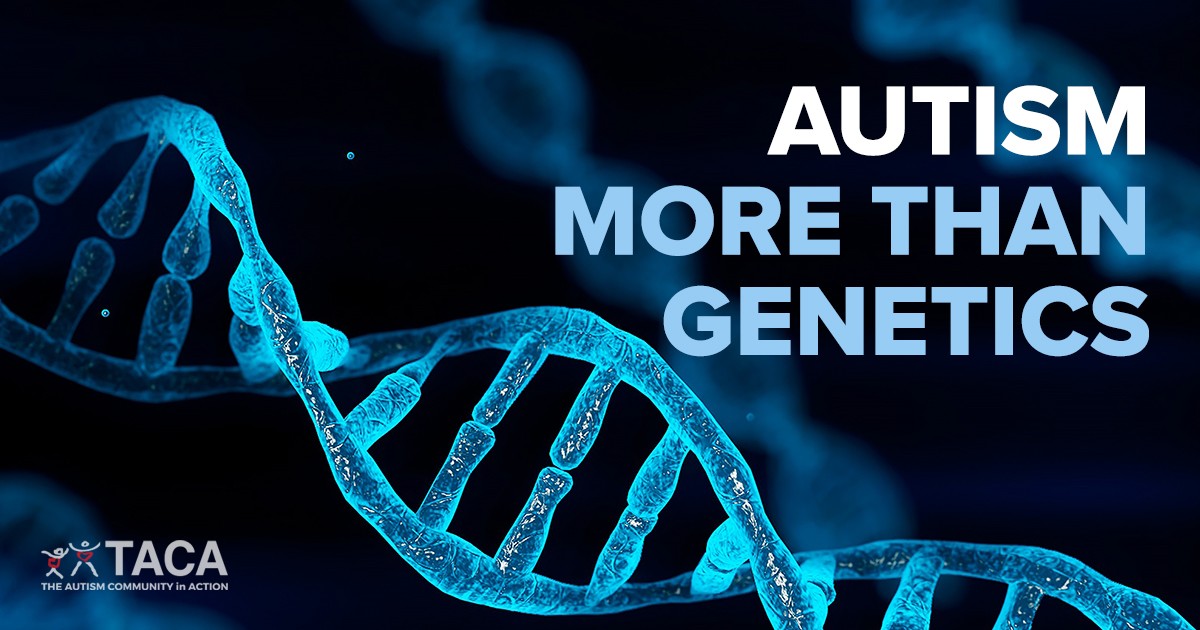 Ogfb Autism More Than Genetics 