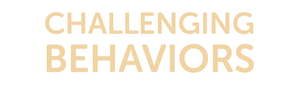 taes_challenging_behaviors_b
