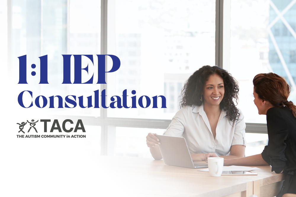1:1 IEP Consultation 